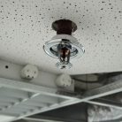 Team of devoted professionals